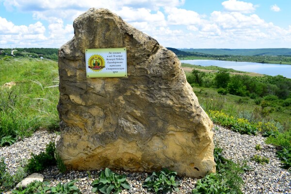 Вишневая поляна