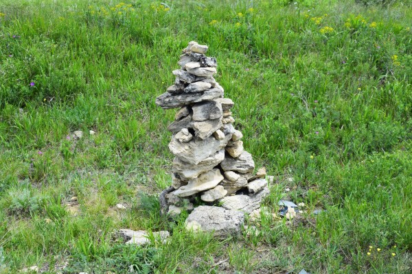 Вишневая поляна