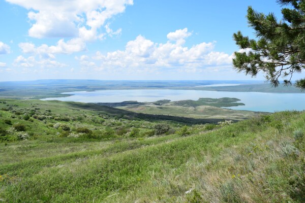 Вишневая поляна